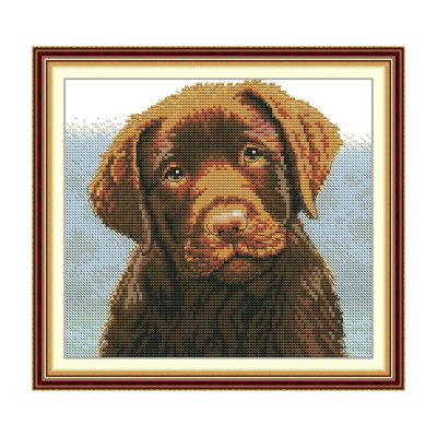 Are You Okay? Hand Stitched Animal Cross Stitch Embroidery Kit, Animal Portrait Scene, Adult Wall Decor