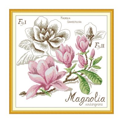 Magnolia Easy Floral Hand Embroidery Cross Stitch Kit for Adults, DIY Wall Hanging Art for Home Decor