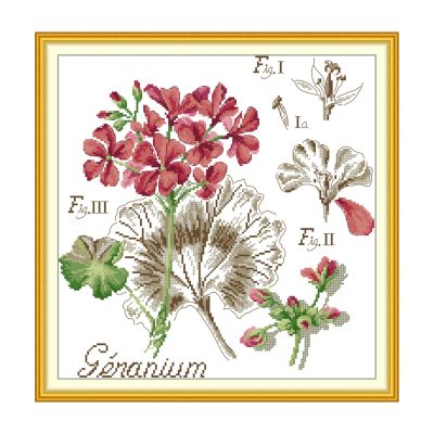 Geranium All-in-One Floral Cross Stitch Kit, Beginner Friendly Embroidery Supplies, Home Wall Art Decor