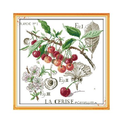 Cherry Adult Beginner Hand Stitching Cross Stitch Kit, DIY Home Wall Art Decor